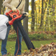 Black & Decker 12 amp Blower Vac, $38